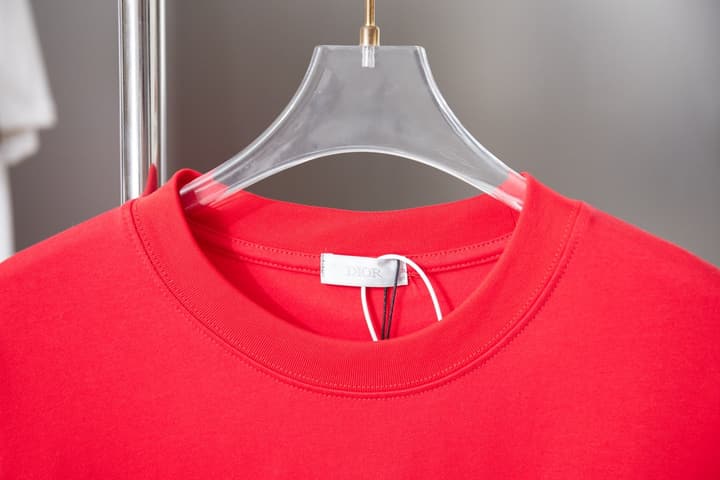 Dior Embroidered Logo Print T-Shirt – 25SS Early Spring Collection in Black