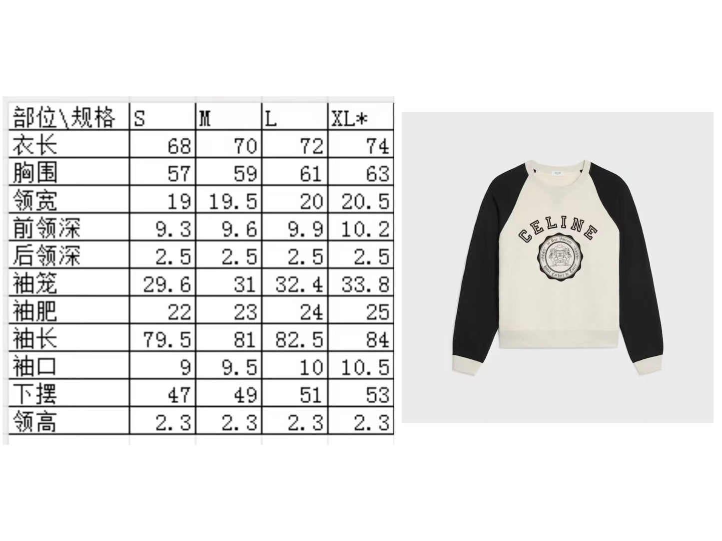 Celine Color-Block Flocked Logo Crewneck Sweatshirt – 2025FW