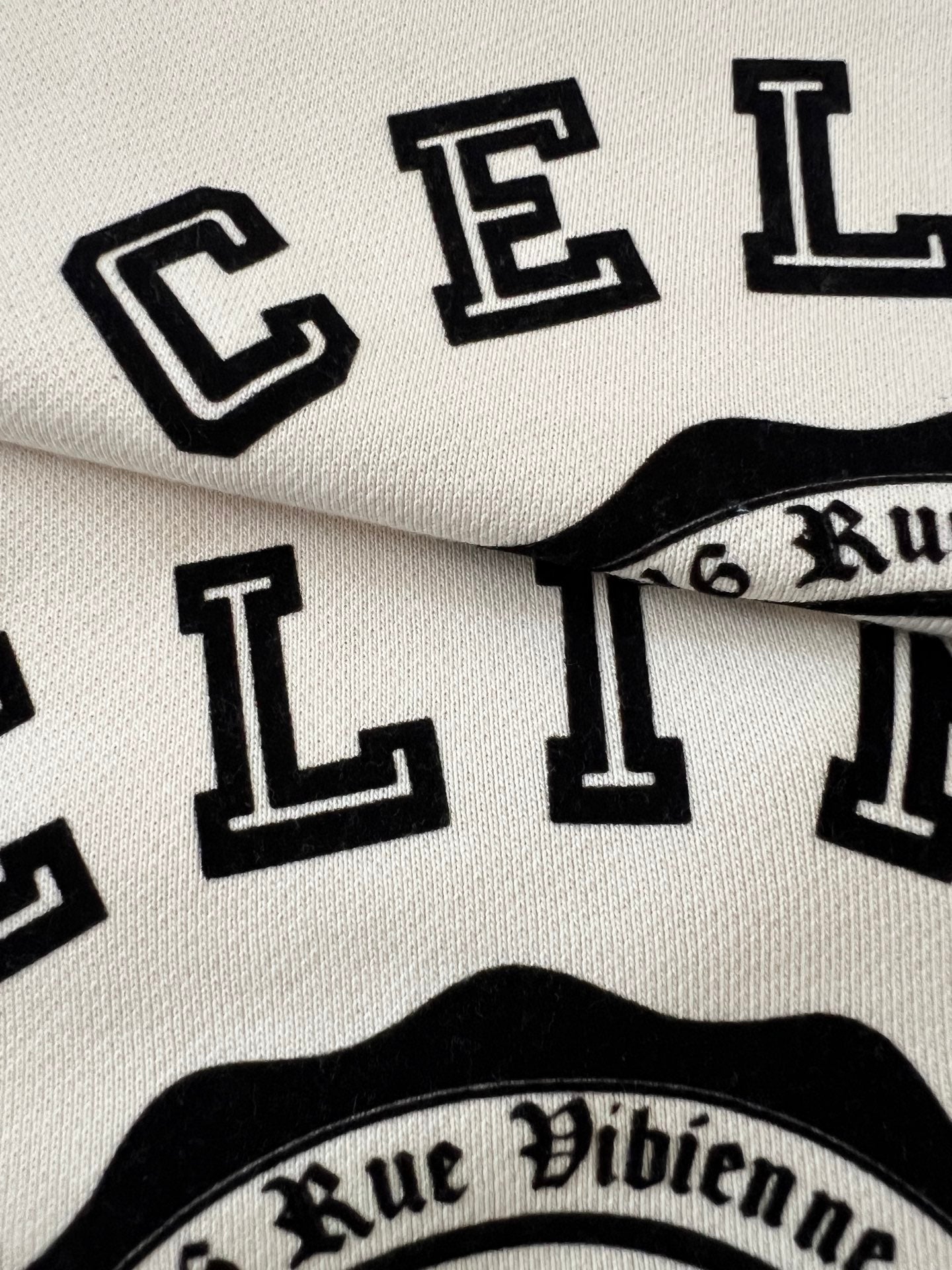 Celine Color-Block Flocked Logo Crewneck Sweatshirt – 2025FW