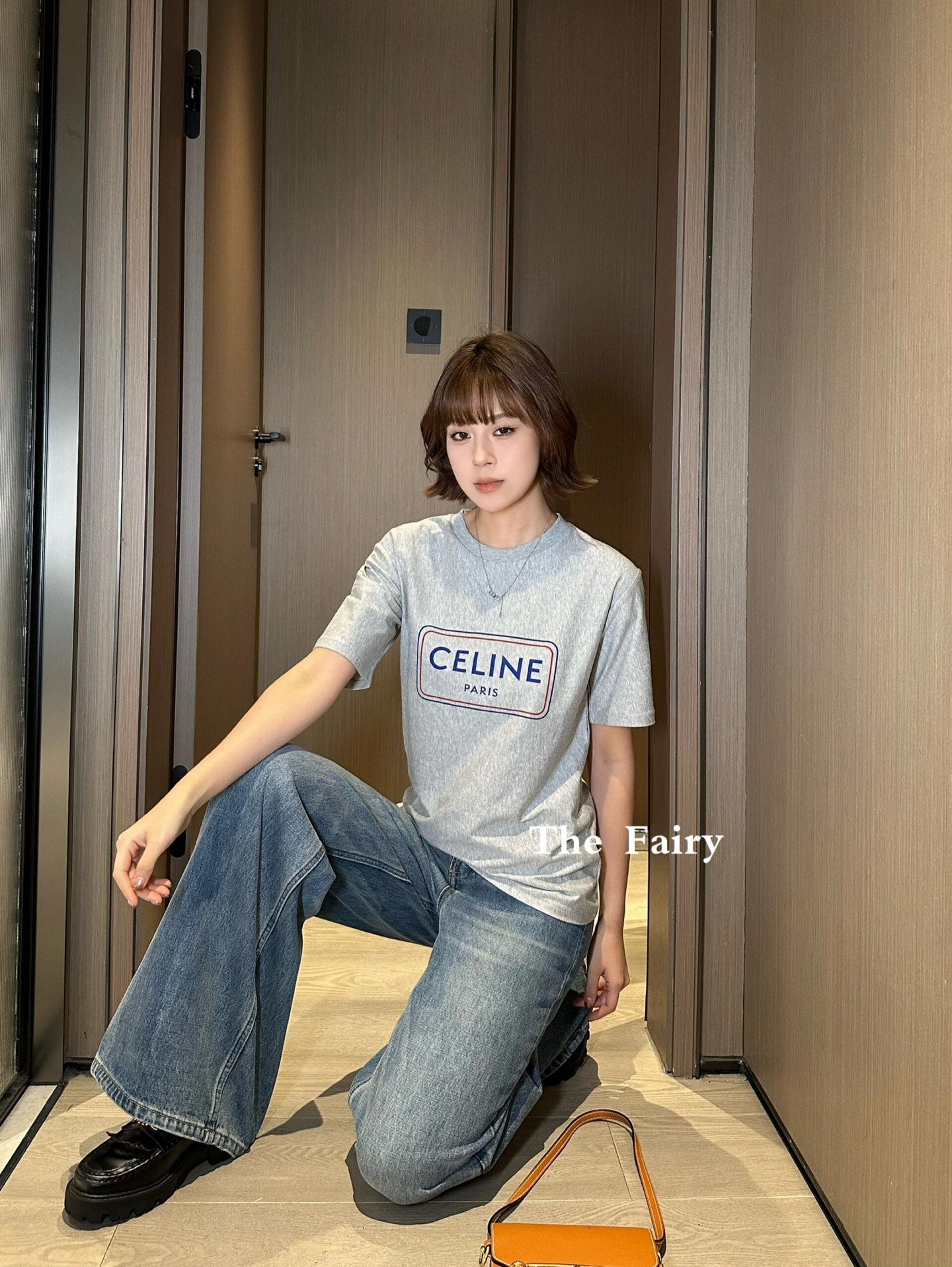 Celine Logo Print Cotton T-Shirt – Early Summer Collection – 2026SS