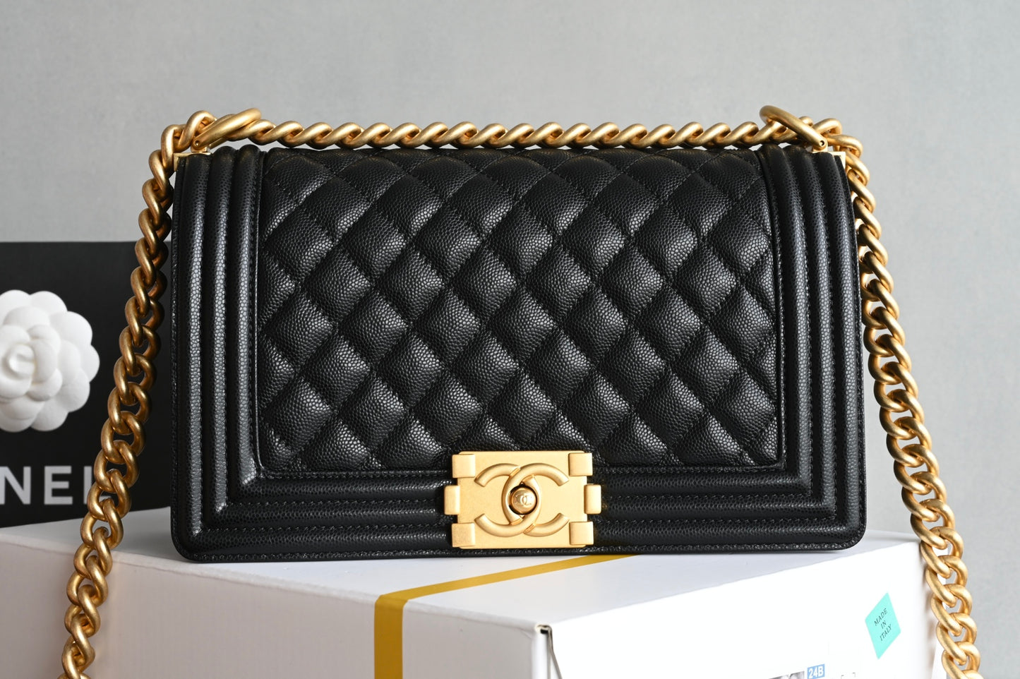 Chanel Leboy Quilted Handbag