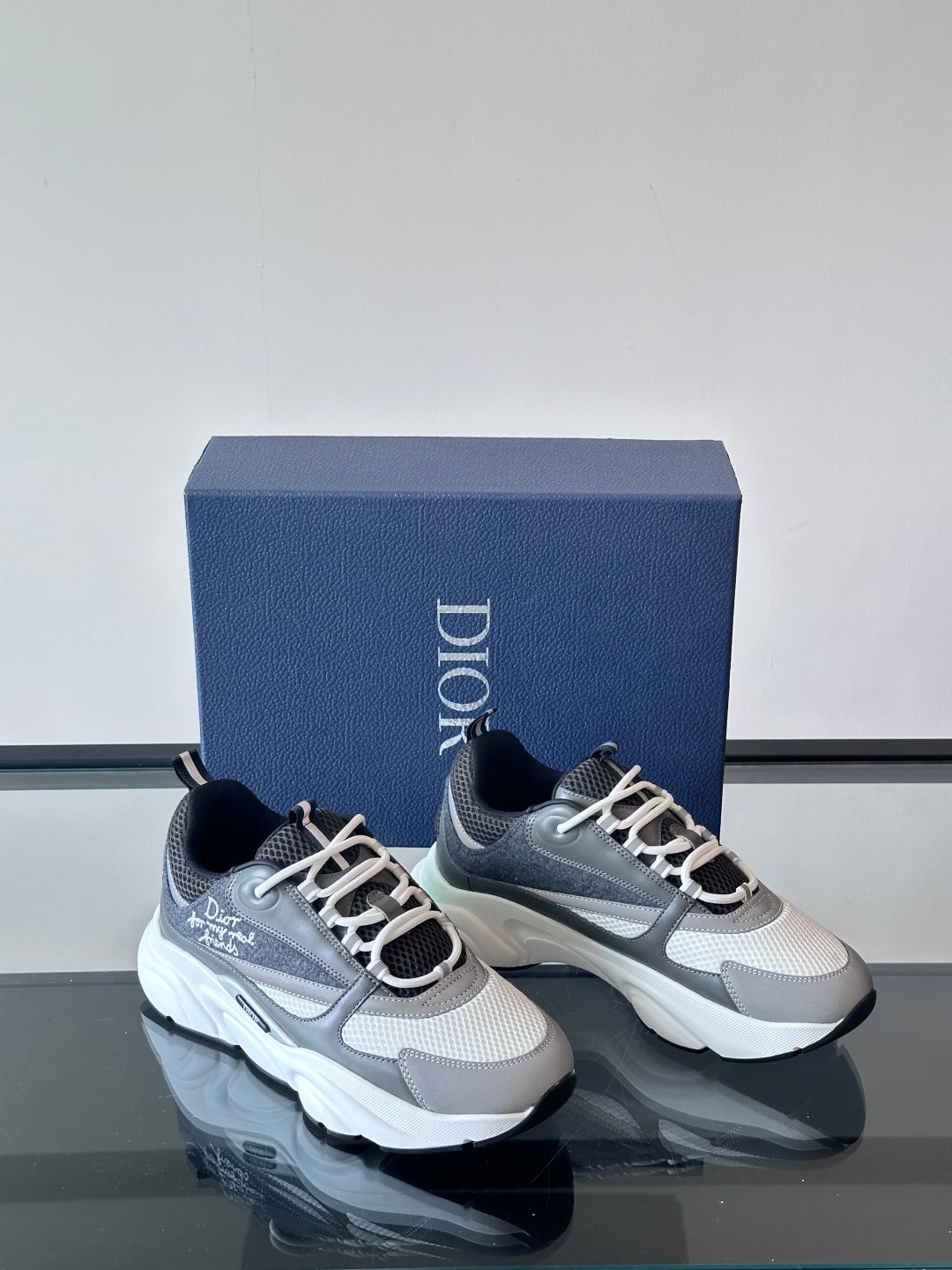 Dior B22 Retro Jogging Sneakers
