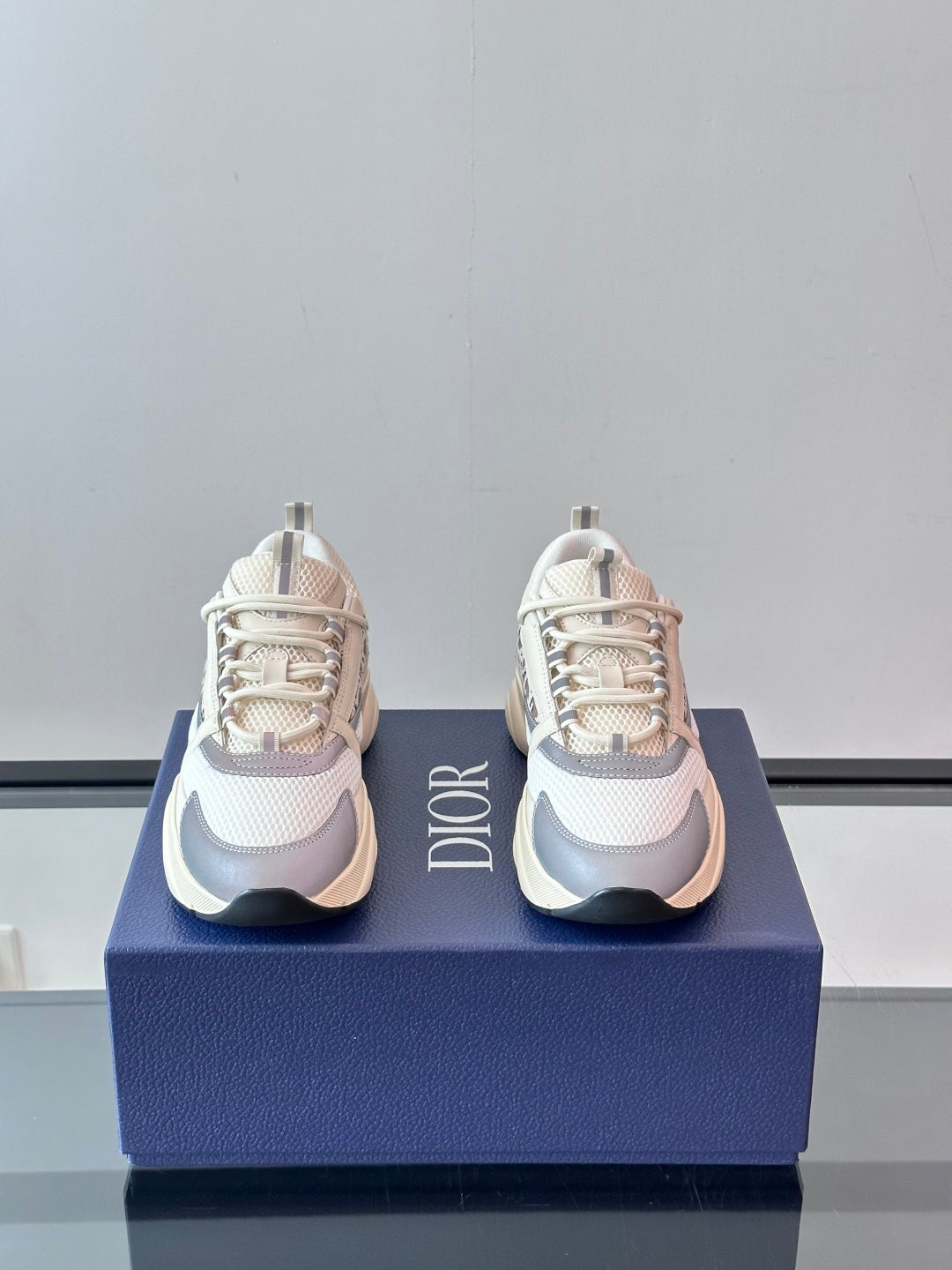 Dior B22 Retro Jogging Sneakers