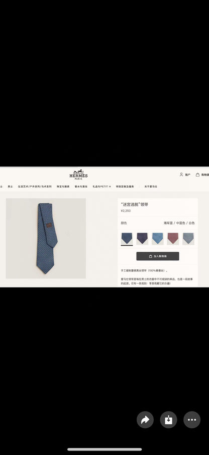 Hermès Philippe Mouquet Men's Tie