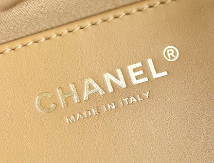 Chanel 25 Bag Hobo
