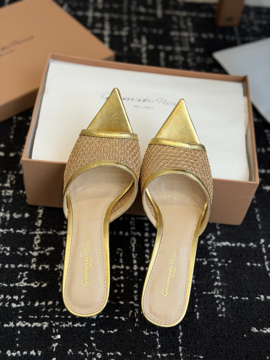 Gianvito Rossi Pointed-Toe Mesh Heeled Sandals – Spring/Summer Collection – 26SS