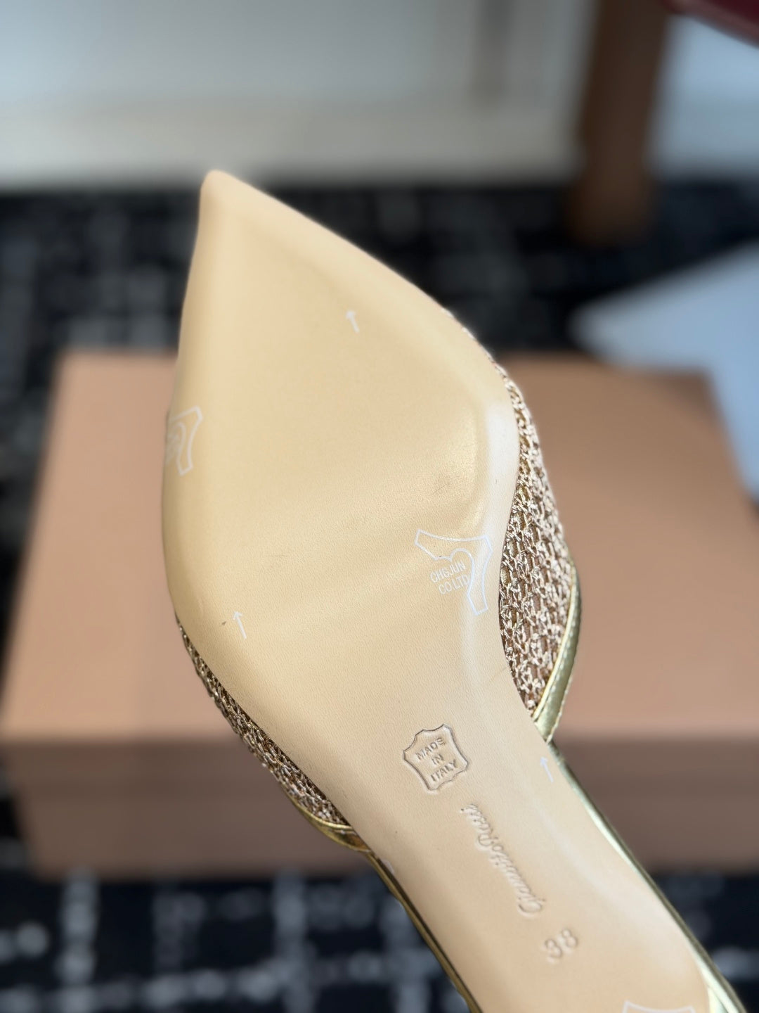 Gianvito Rossi Pointed-Toe Mesh Heeled Sandals – Spring/Summer Collection – 26SS