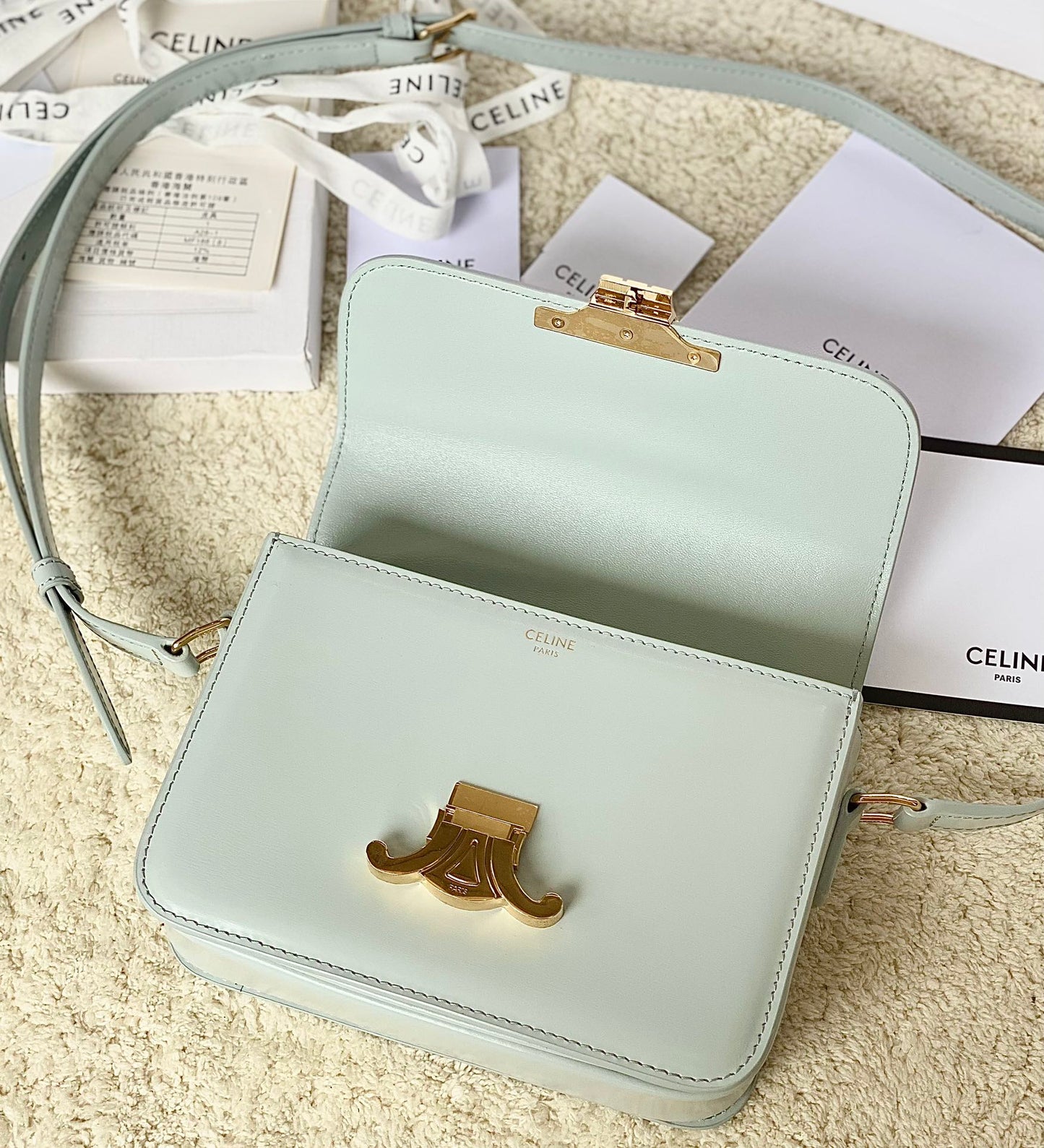 Celine Triomphe Box Calfskin Bag