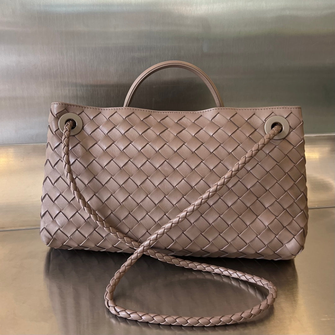 Bottega Veneta Andiamo Handbag