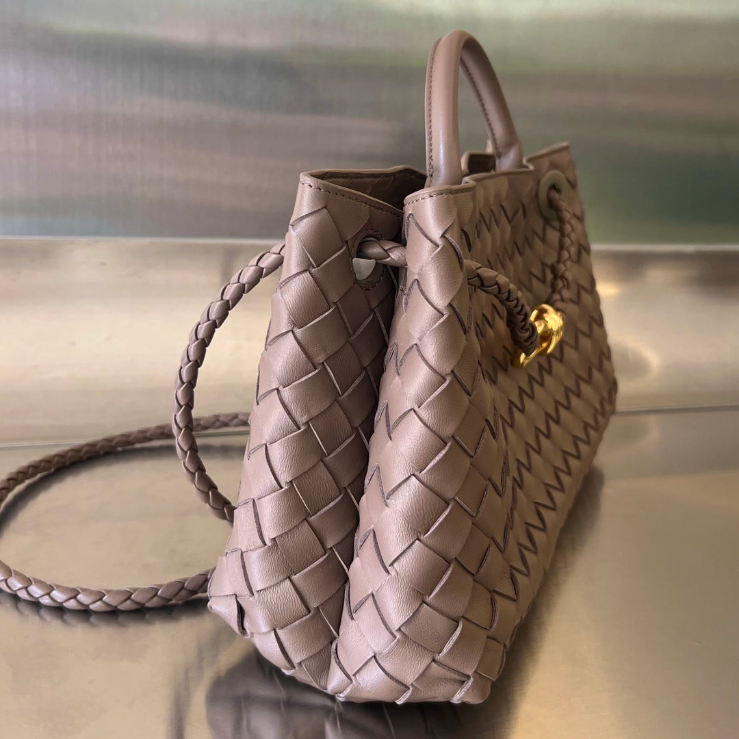 Bottega Veneta Andiamo Handbag