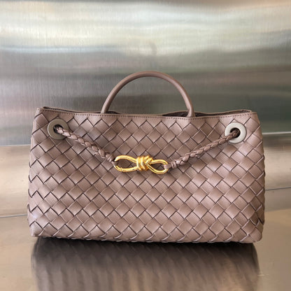 Bottega Veneta Andiamo Handbag