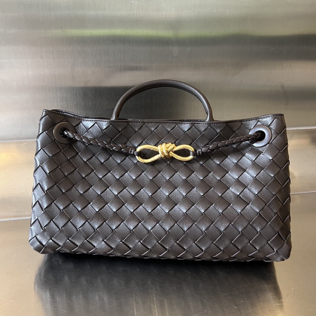 Bottega Veneta Andiamo Handbag