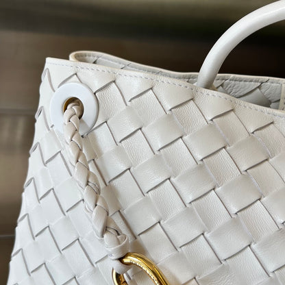 Bottega Veneta Andiamo Handbag