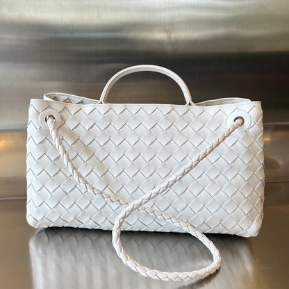 Bottega Veneta Andiamo Handbag