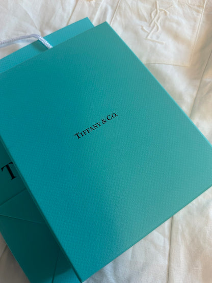 Tiffany & Co. Notebook & Pen Set