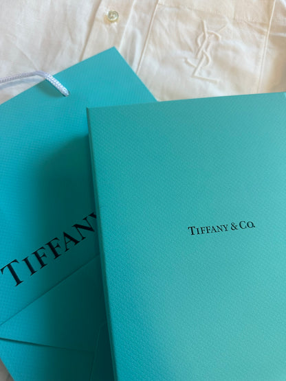Tiffany & Co. Notebook & Pen Set