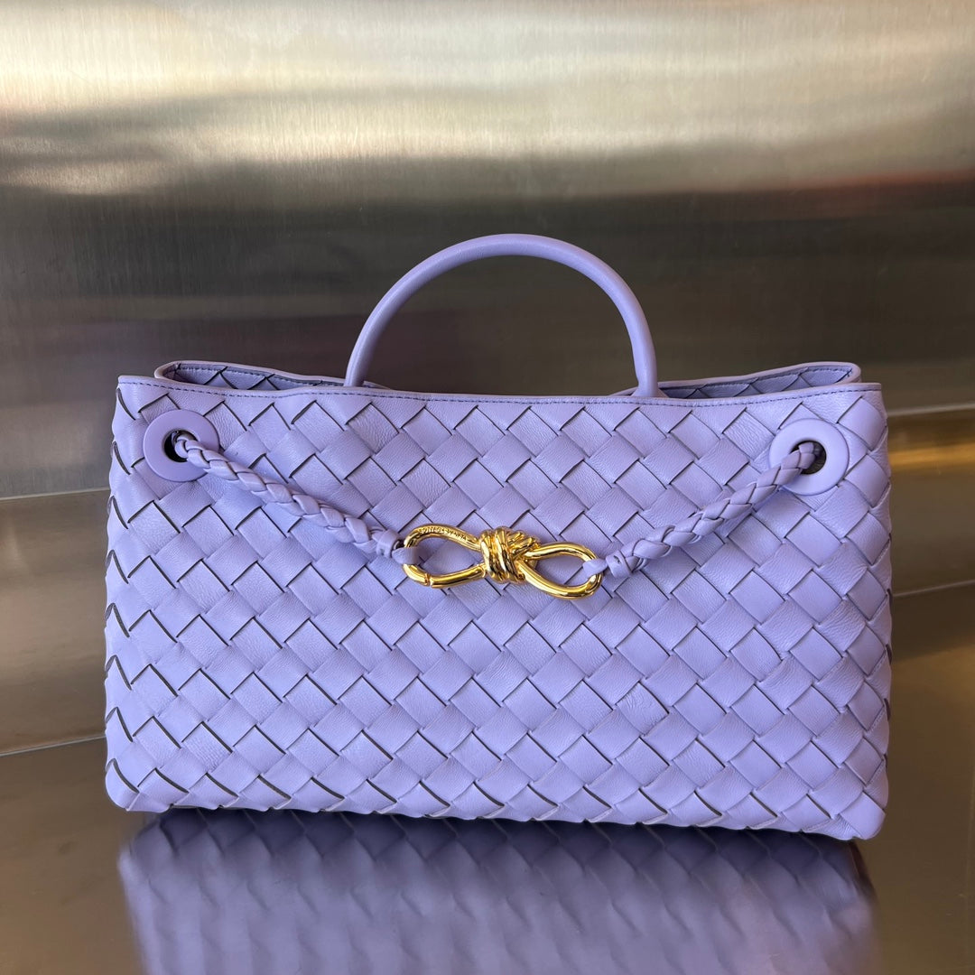 Bottega Veneta Andiamo Handbag