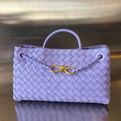 Bottega Veneta Andiamo Handbag