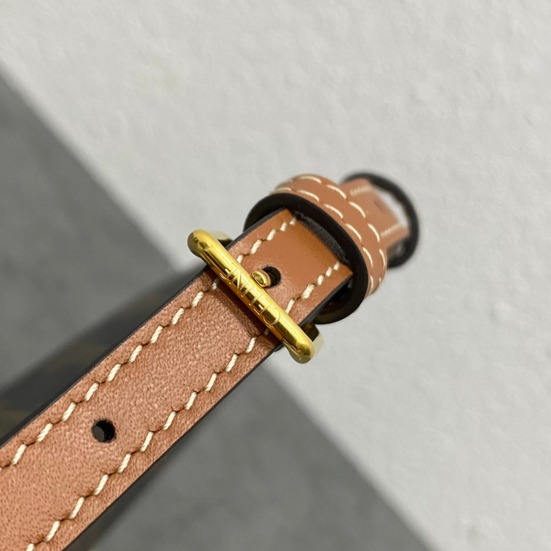 Celine Triomphe Canvas Flap Bag