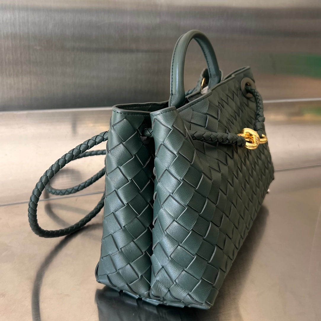 Bottega Veneta Andiamo Handbag