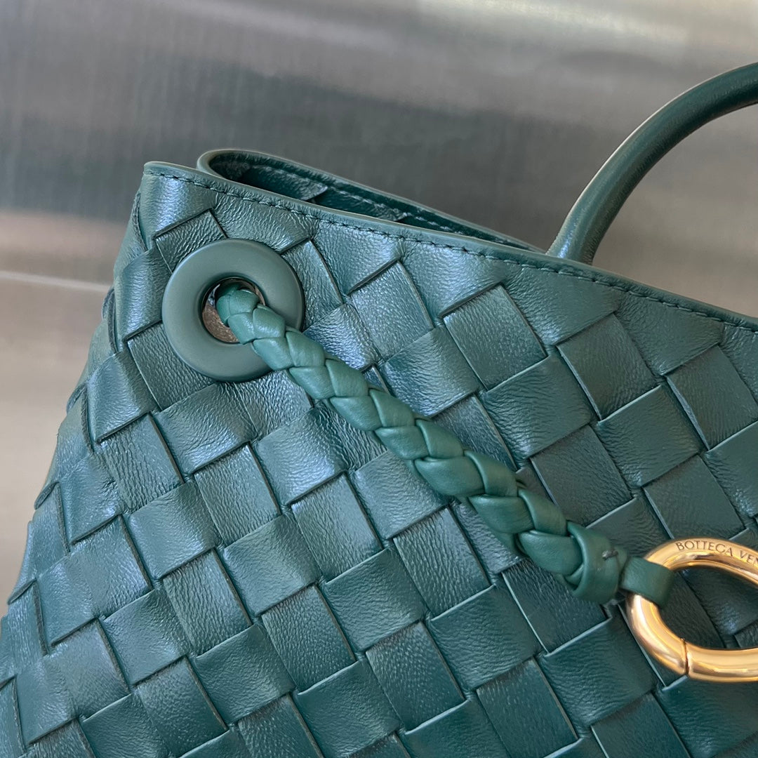 Bottega Veneta Andiamo Handbag