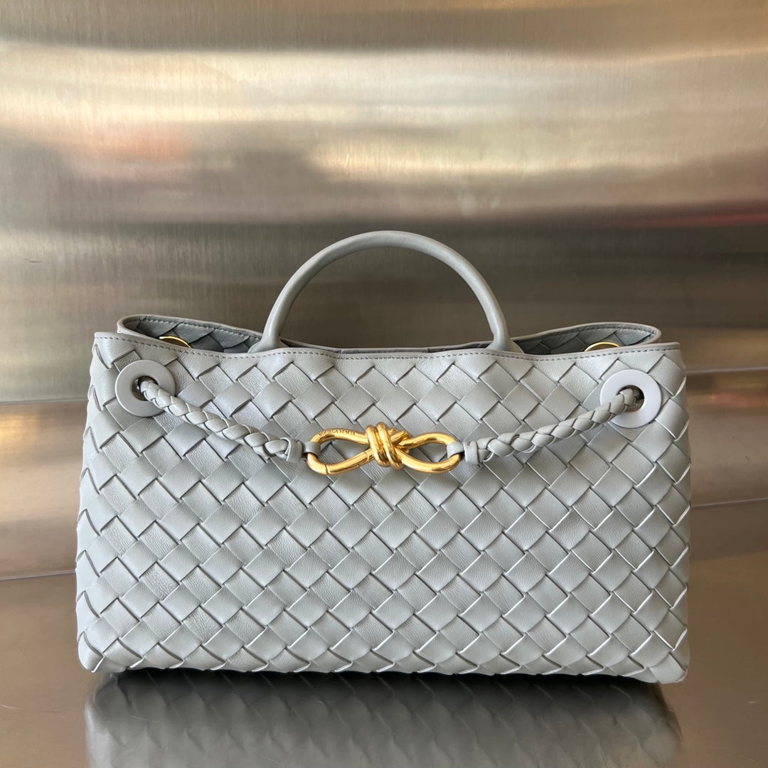 Bottega Veneta Andiamo Handbag