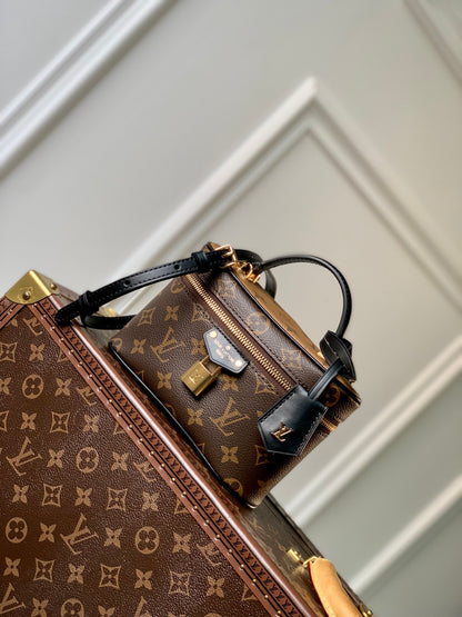 Louis Vuitton Vanity Chain Pouch