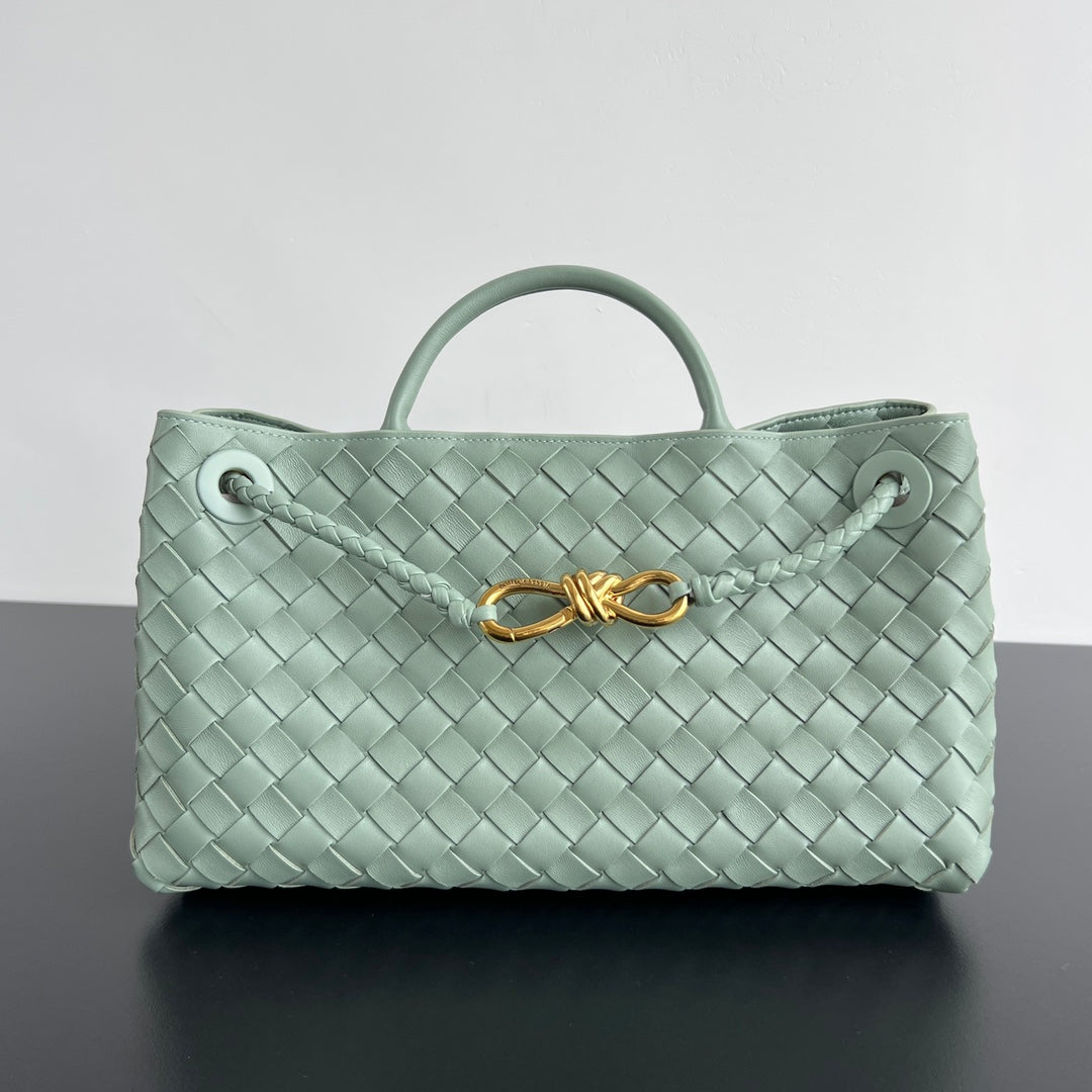 Bottega Veneta Andiamo Handbag