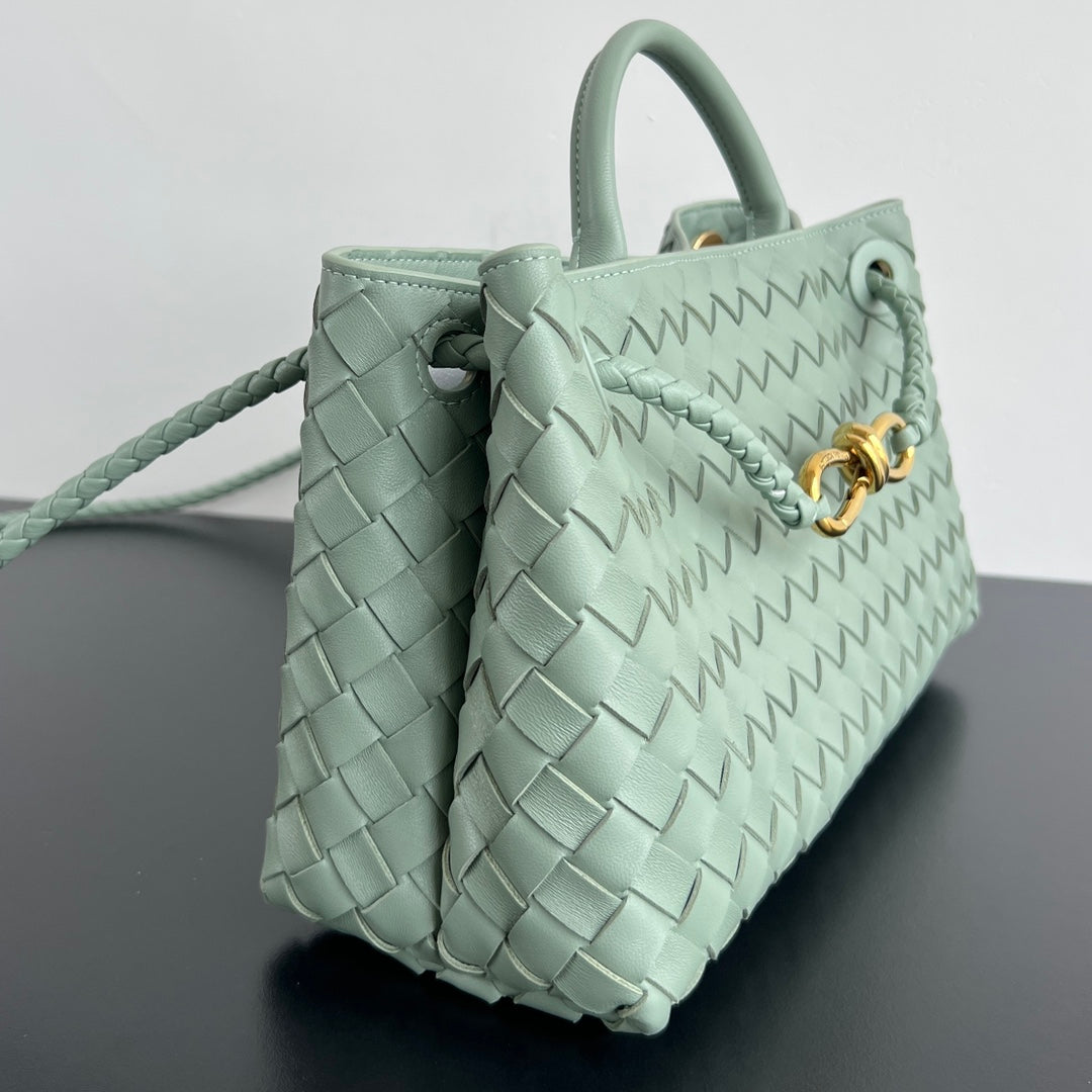 Bottega Veneta Andiamo Handbag