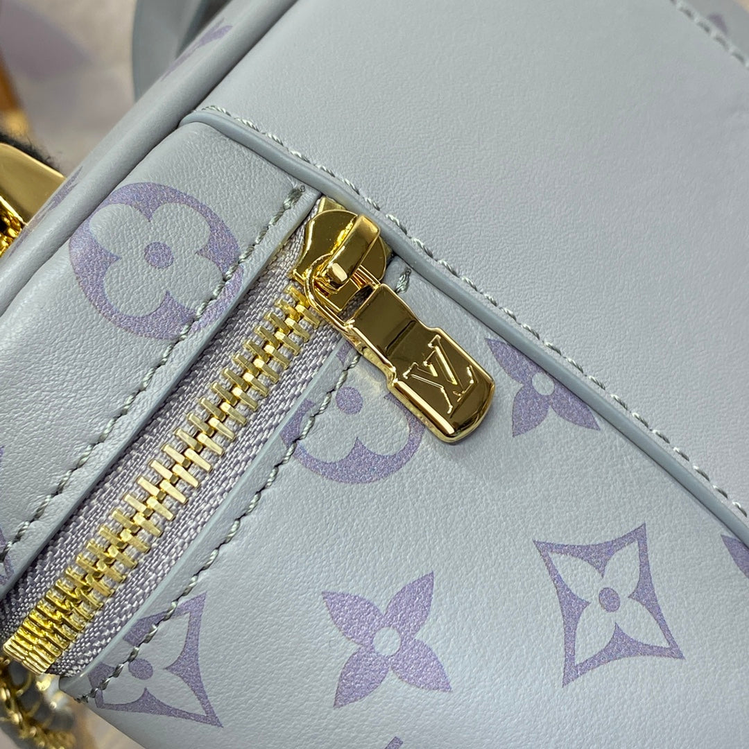 Louis Vuitton Monogram Vanity Chain Pouch – FW24