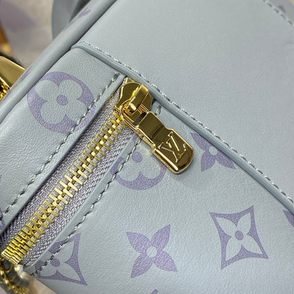 Louis Vuitton Monogram Vanity Chain Pouch – FW24