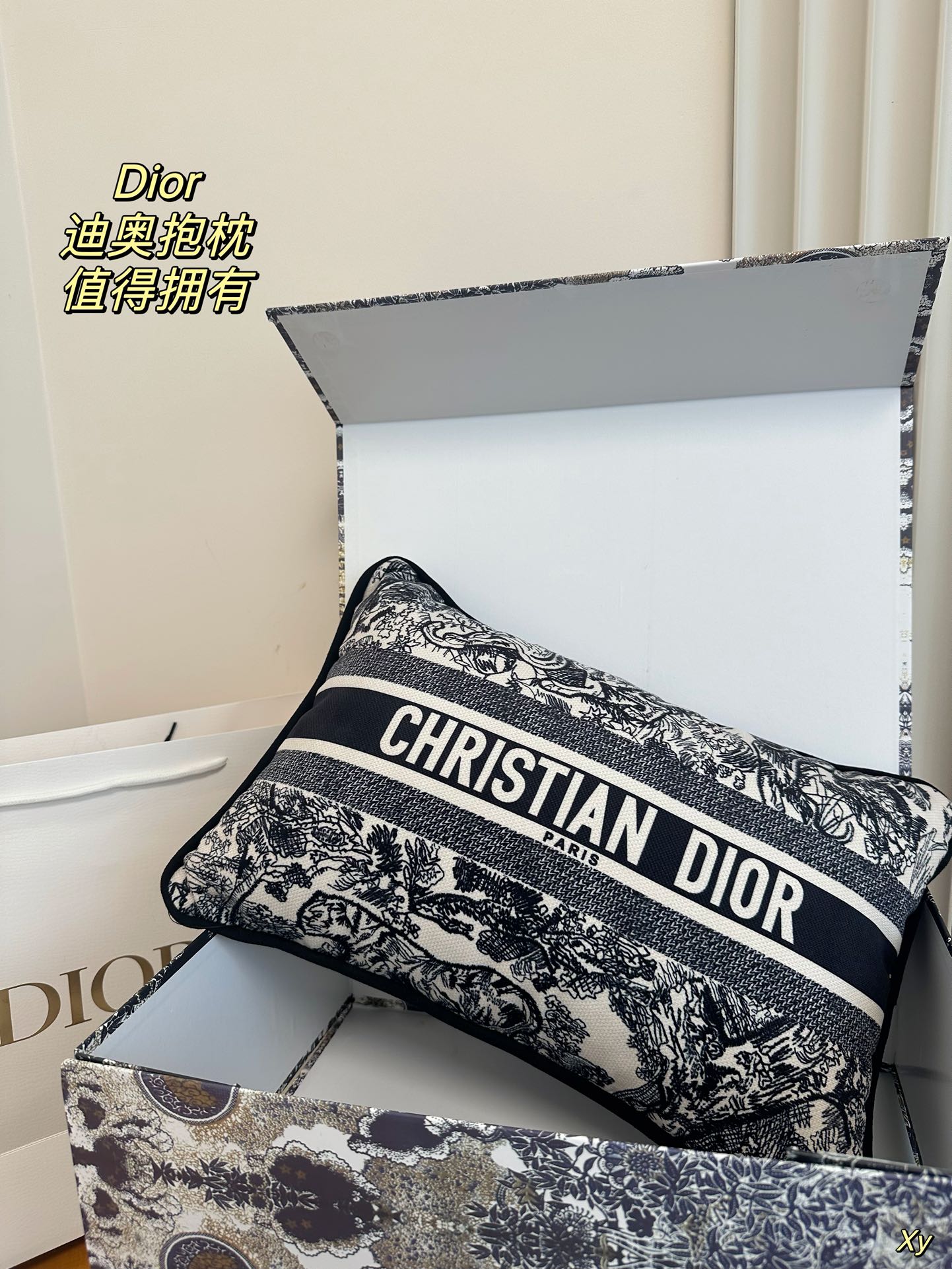 Dior Limited Edition Home Pillow – XYBH