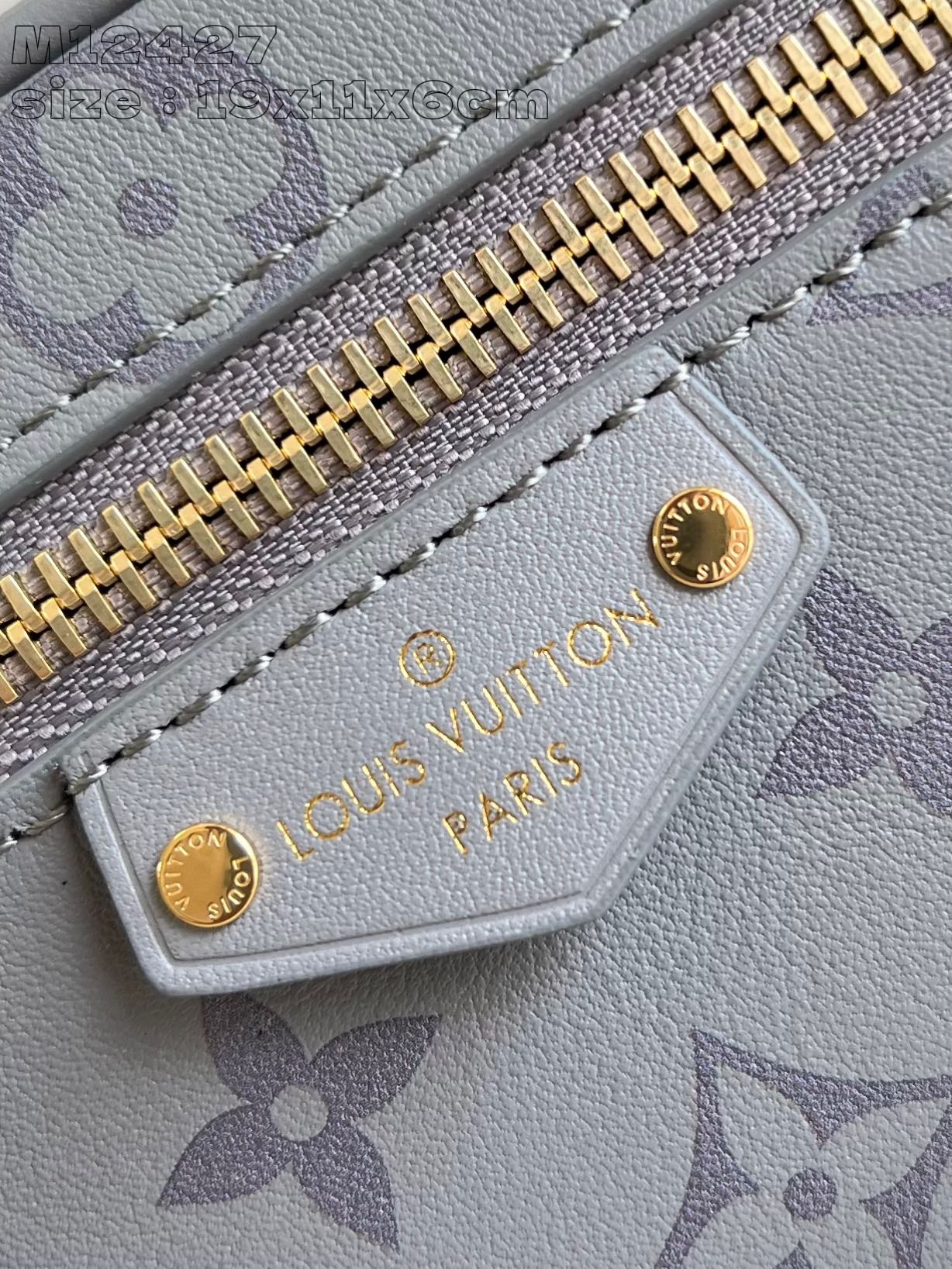 Louis Vuitton Vanity Chain Pouch Handbag – Fall/Winter 2024