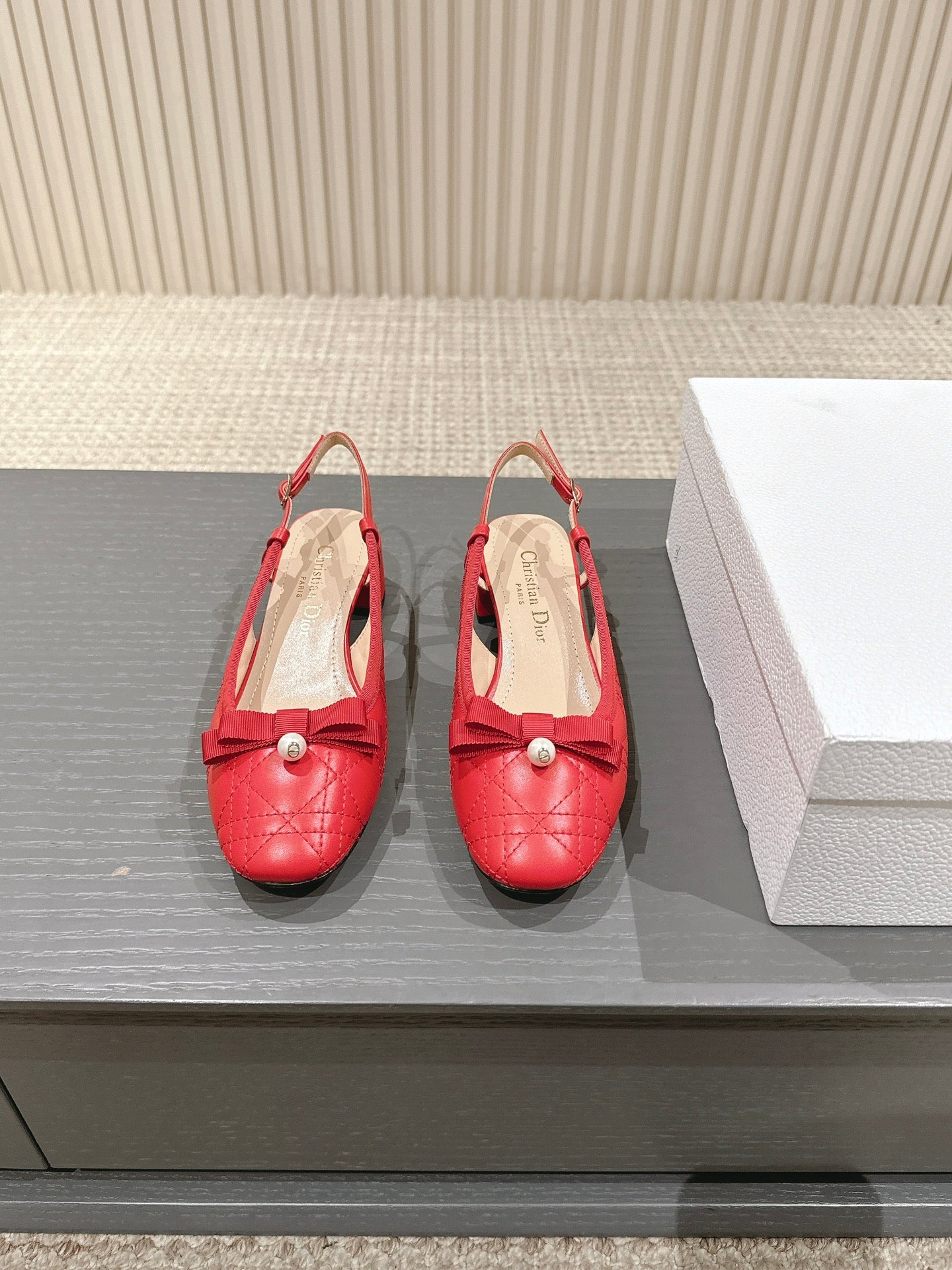 Dior D-Ramour Embroidered Cannage Ballet Flats – 2024 Spring/Summer Collection