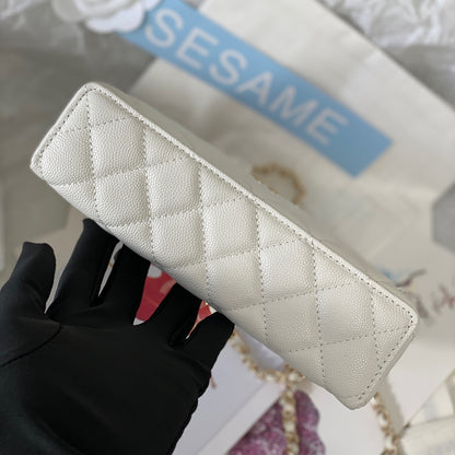 Chanel 25C LP Handle Bag – 25C Collection