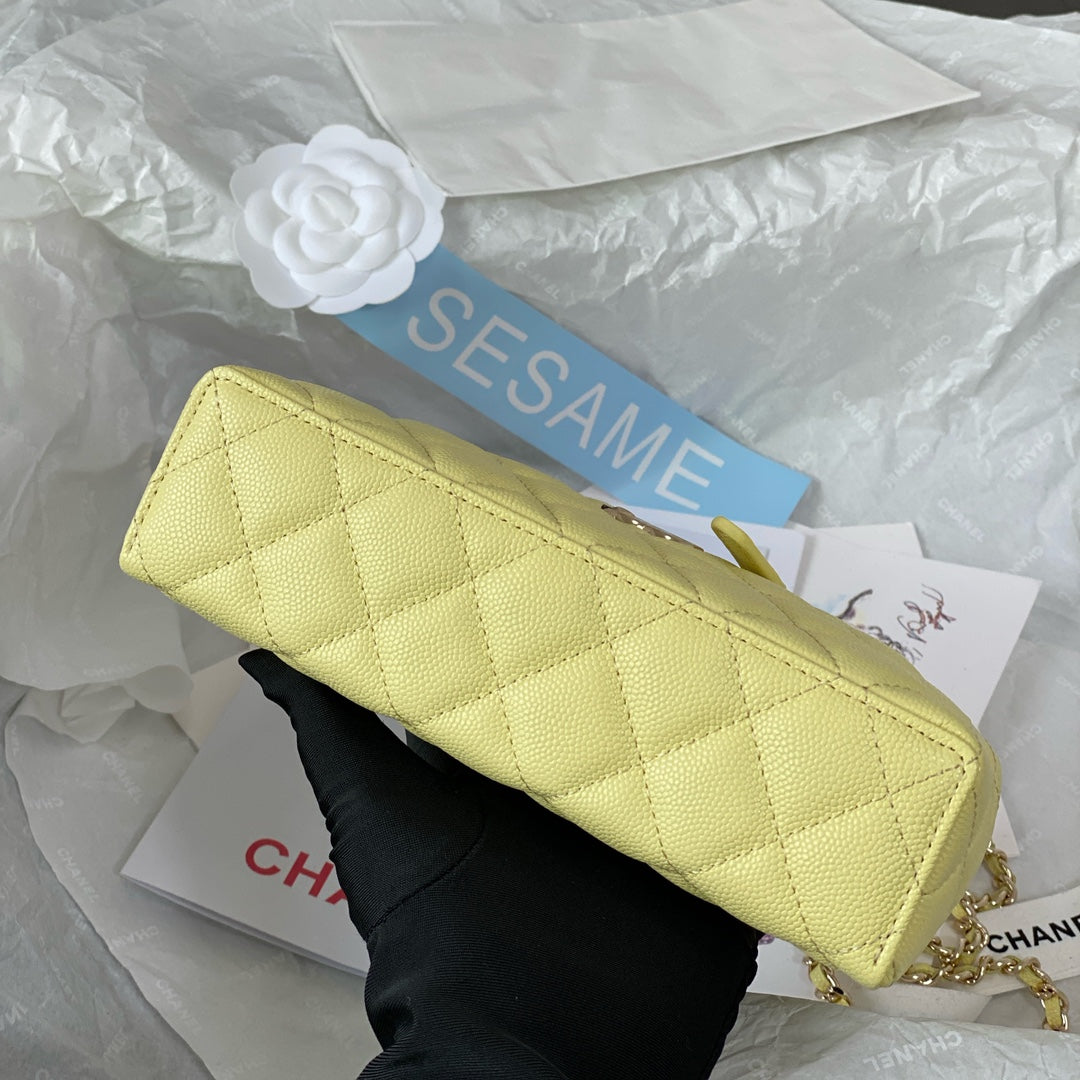 Chanel 25C LP Handle Bag – 25C Collection