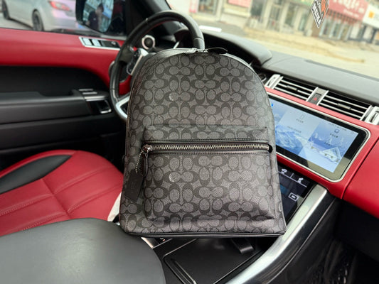 Coach Sprlint 30 Leather Backpack