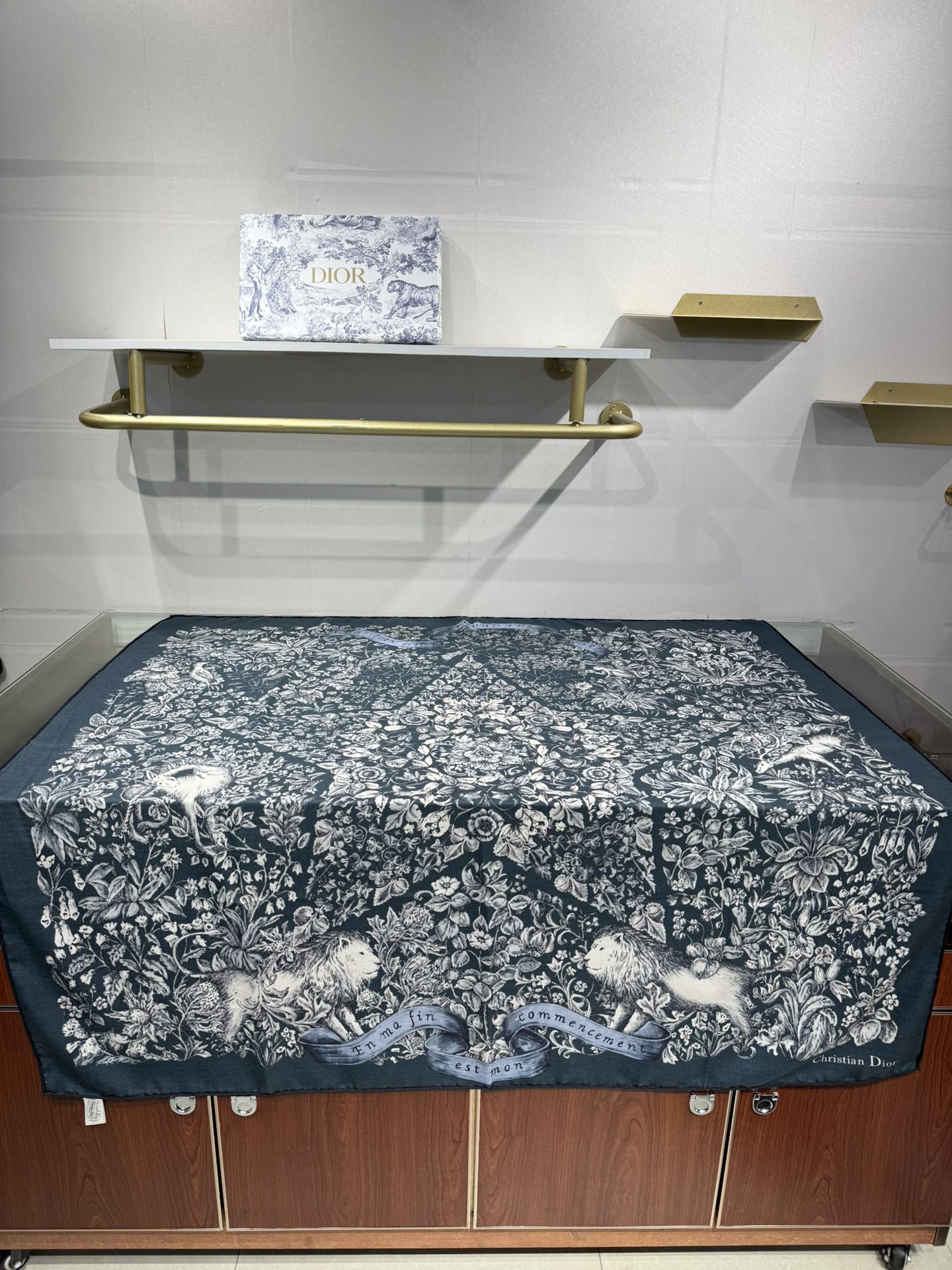 Dior Cashmere Silk Square Scarf – 2025 Collection
