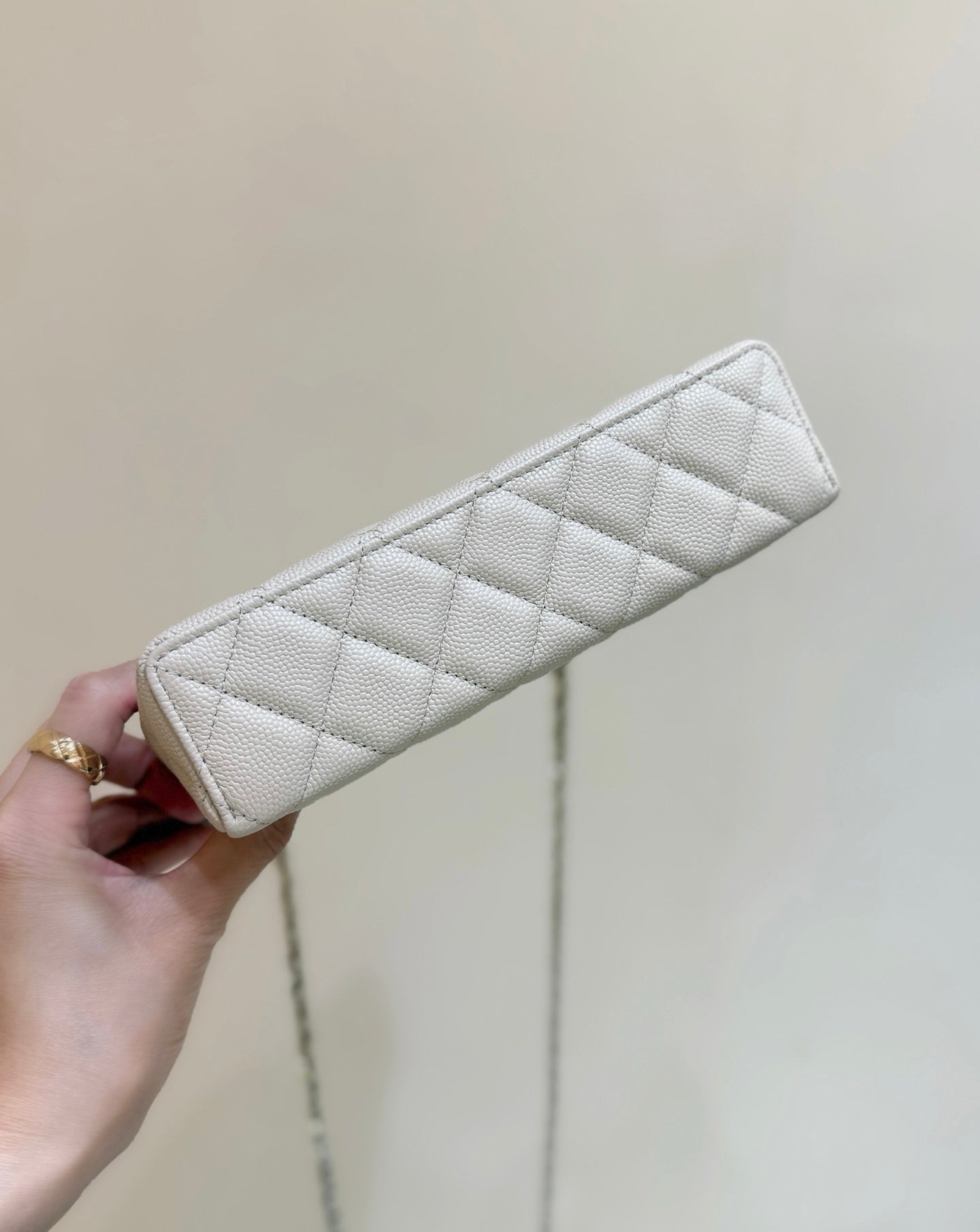 Loro Piana Lunchbox Bag Small Logo – Early Spring Collection – 25C