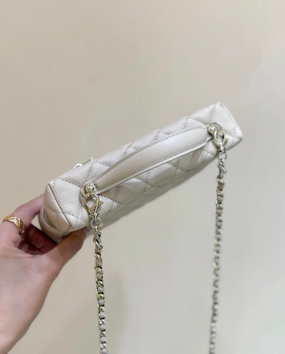 Loro Piana Lunchbox Bag Small Logo – Early Spring Collection – 25C