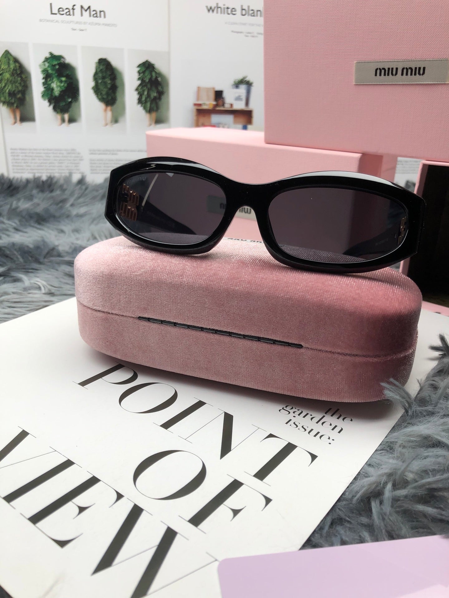 Miu Miu Classic Sunglasses