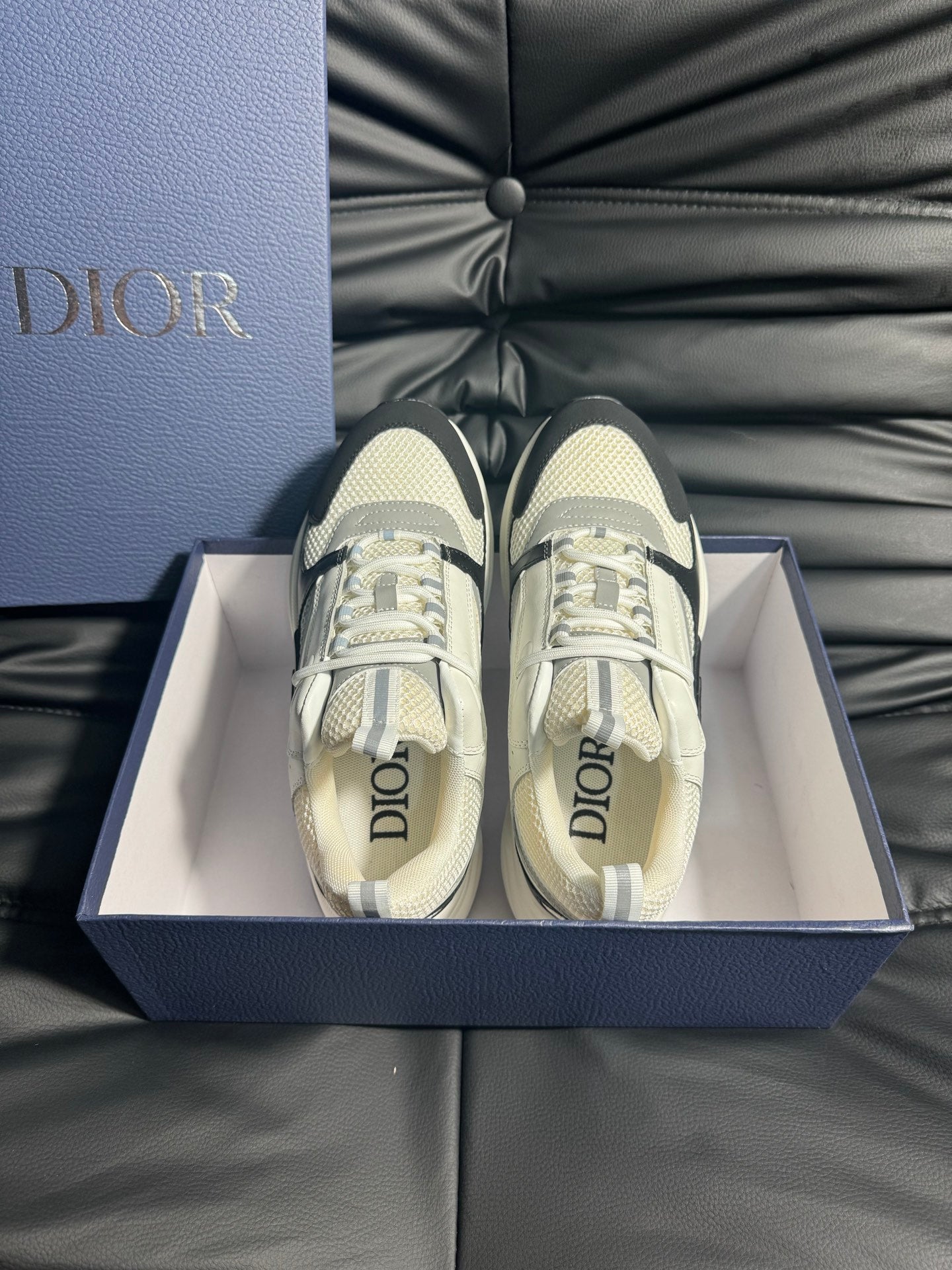 Dior B22 Calfskin Sneakers