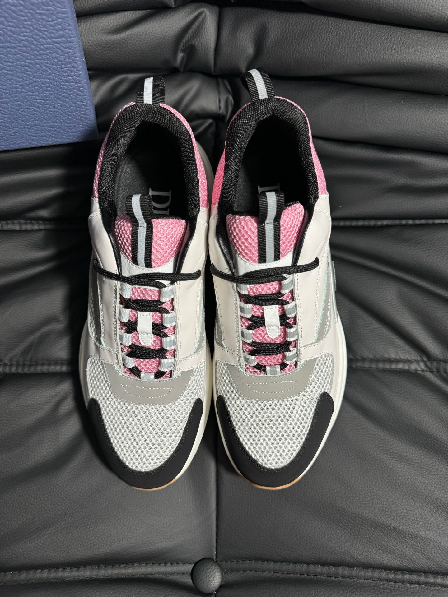 Dior B22 Calfskin Sneakers