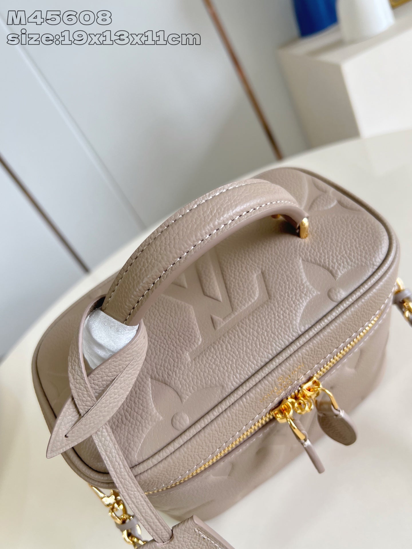Louis Vuitton Vanity Small Handbag – Giant Monogram Embossed