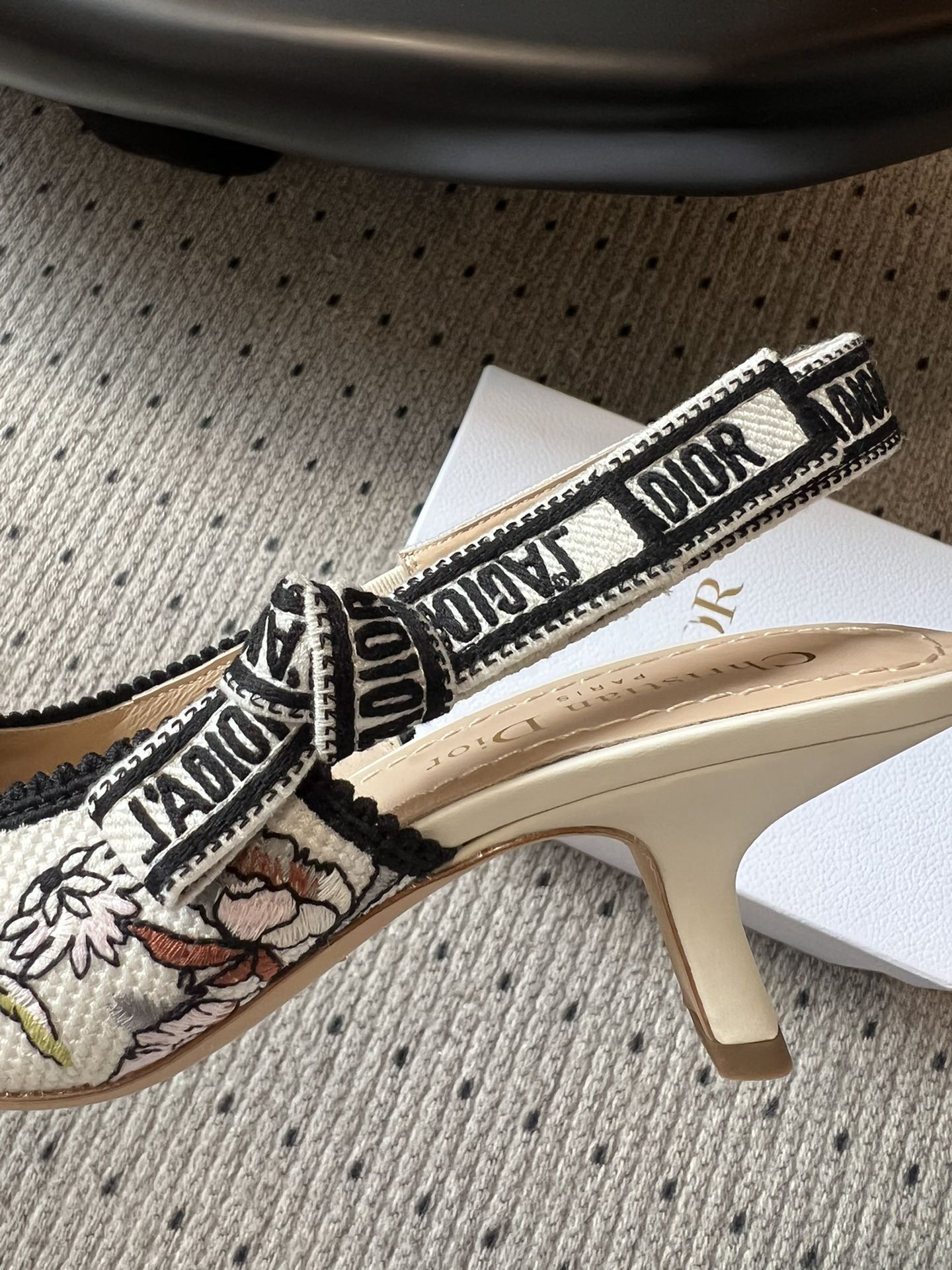 Dior Classic Multi-Color Embroidered Pumps