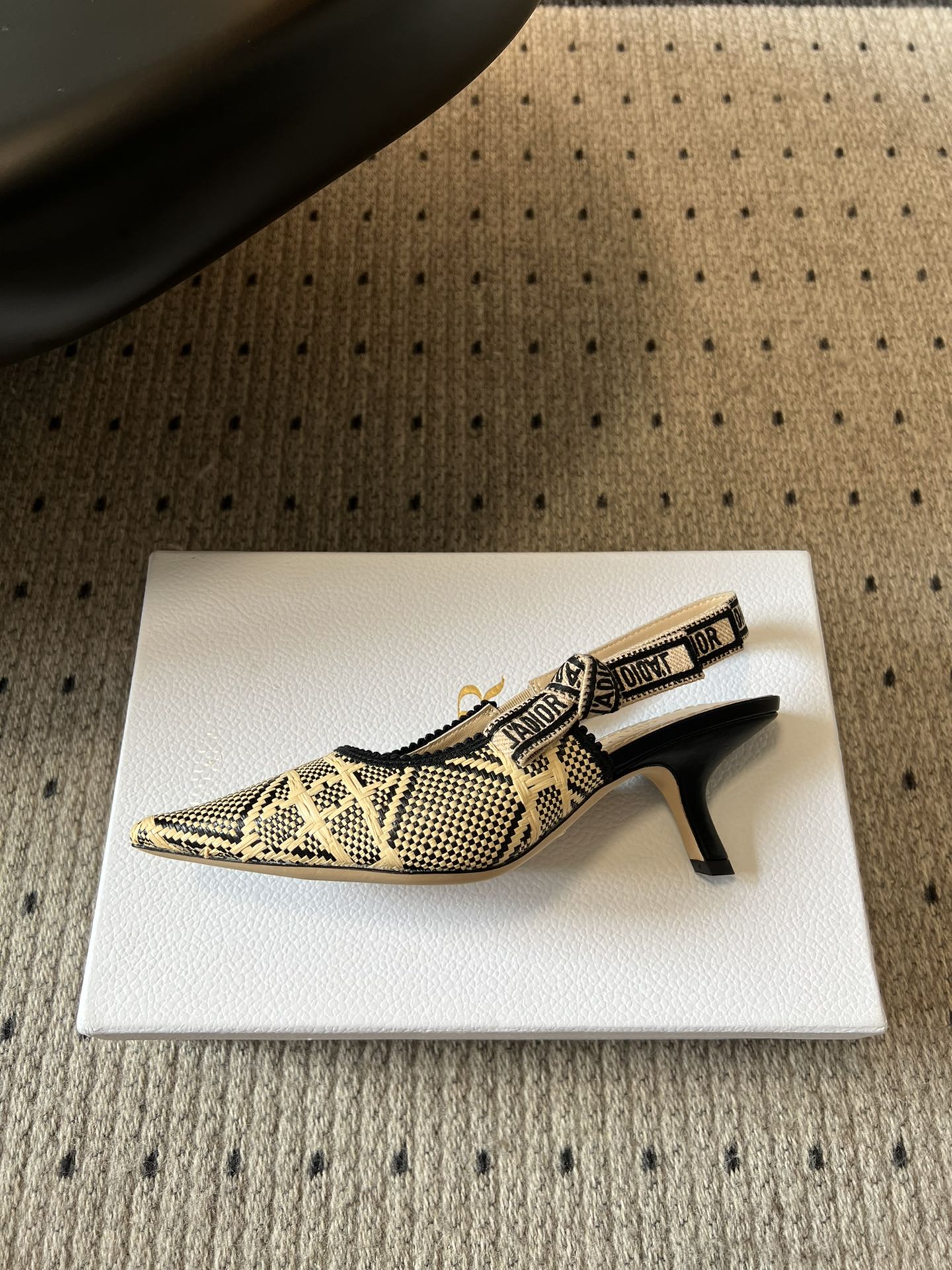 Dior Classic Multi-Color Embroidered Pumps