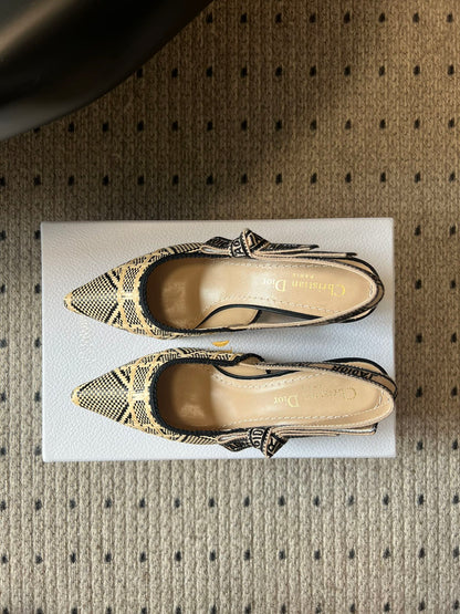 Dior Classic Multi-Color Embroidered Pumps