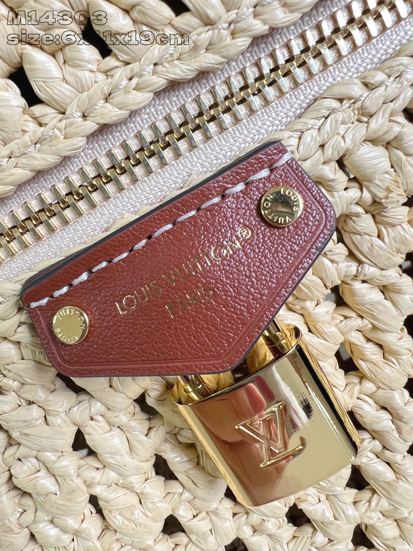 Louis Vuitton Vanity Chain Pouch – 2024 Collection