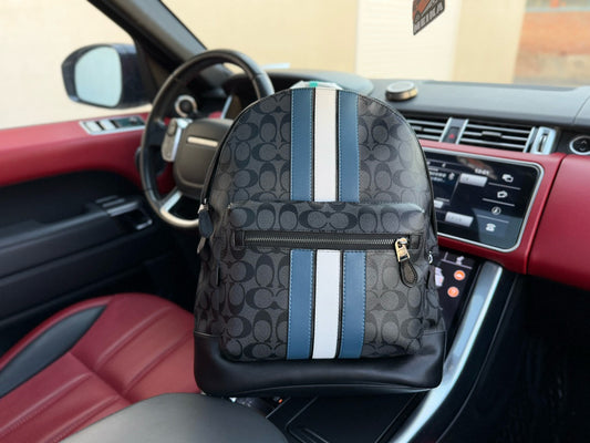 Coach West Series Large Monogram Striped Backpack