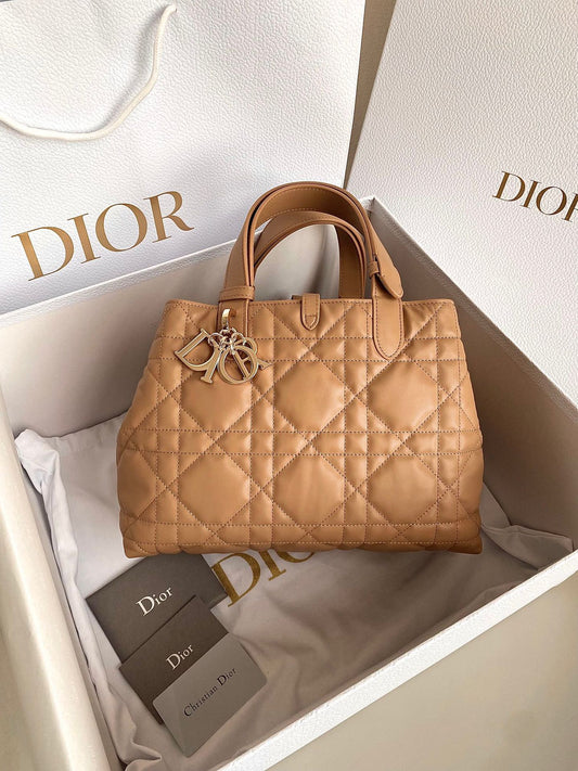 Dior Toujours Handbag